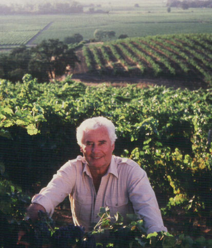 Rod Strong smiles while standing in between rows of vineyards with more rolling vineyards behind him