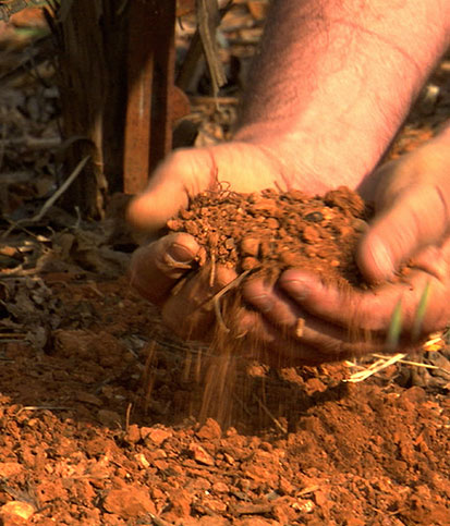A man cups his hands in rocky red dirt while some spills out onto the ground
