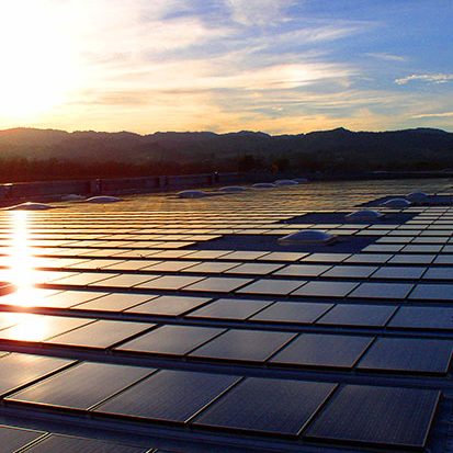 A wide view of the solar panels on the roof of the cellar at Rodney Strong while the sun sets in the sky in the distance