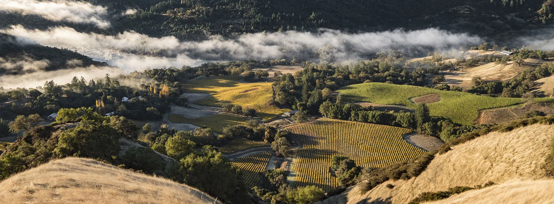 Cooley Ranch - North of Lake Sonoma