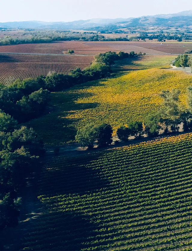 Bud’s Ranch, Alexander Valley