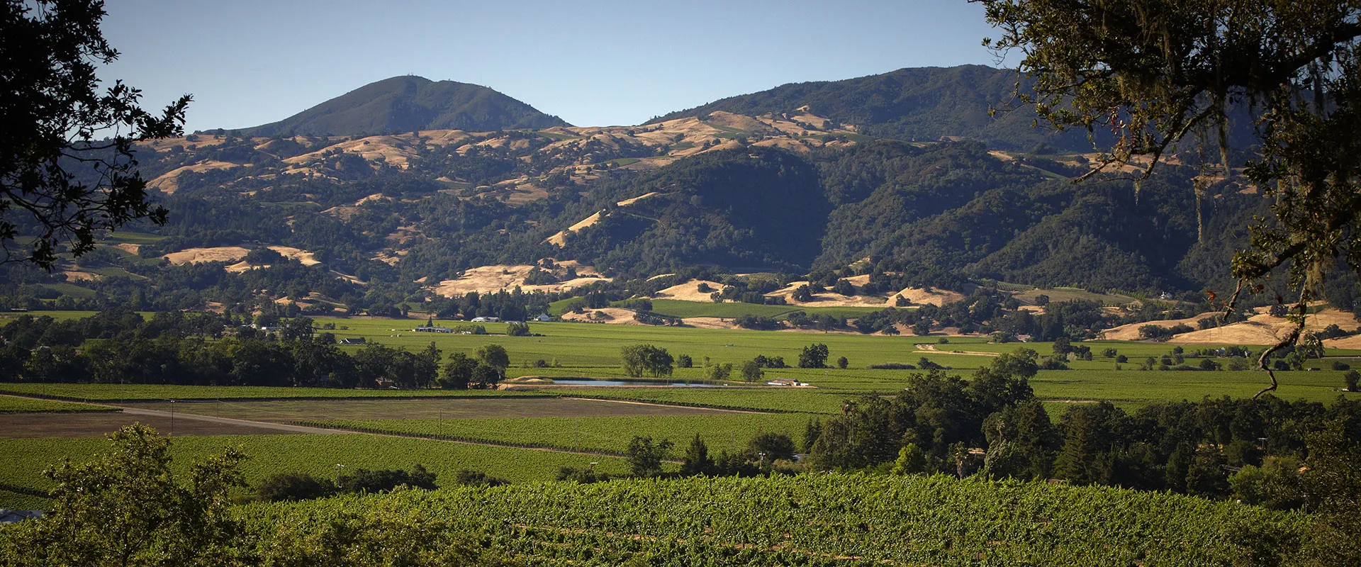 Alexander Valley AVA