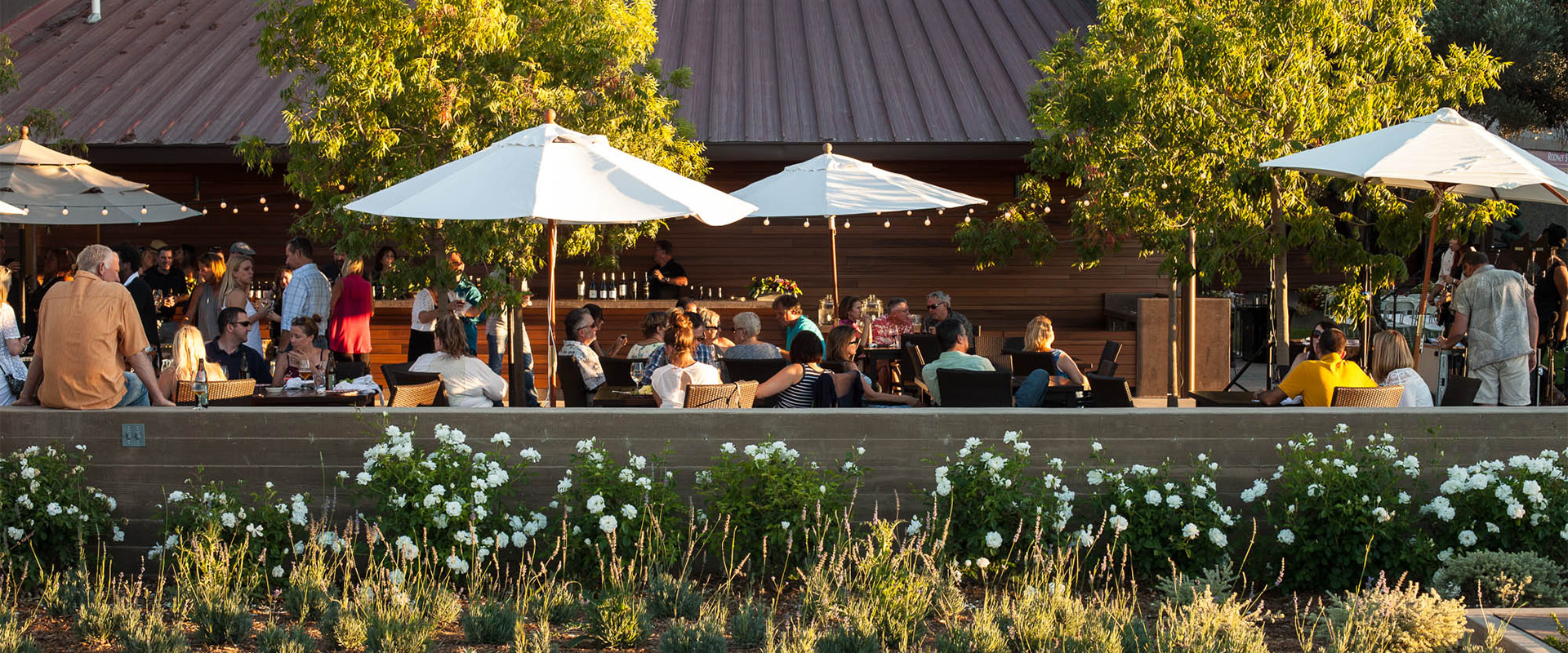 Terrace dinner at Rodney Strong Vineyards
