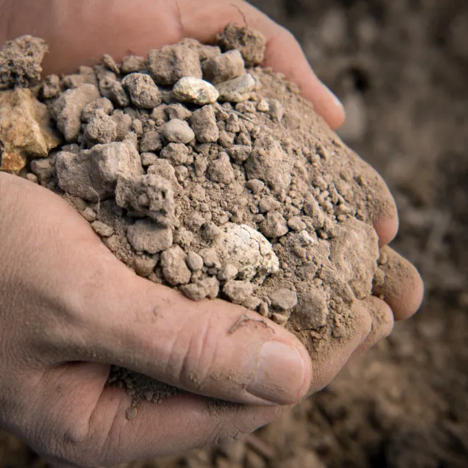 Vineyard Soil