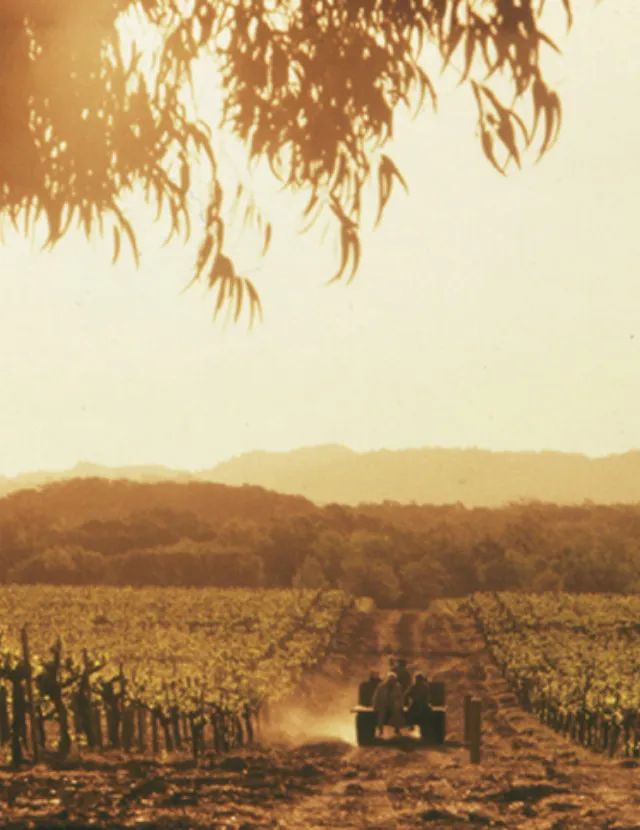 Rodney Strong Vineyard History Image