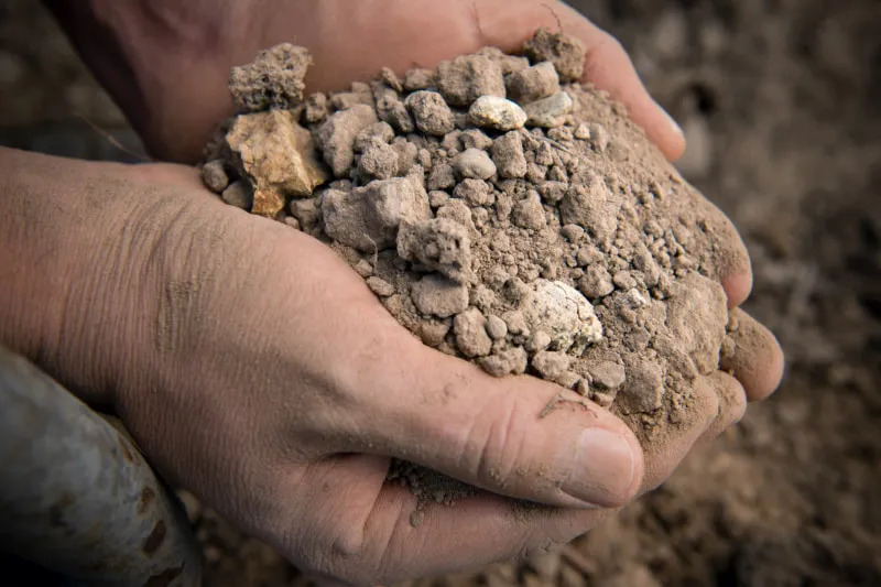 Rodney Strong Vineyard Soil