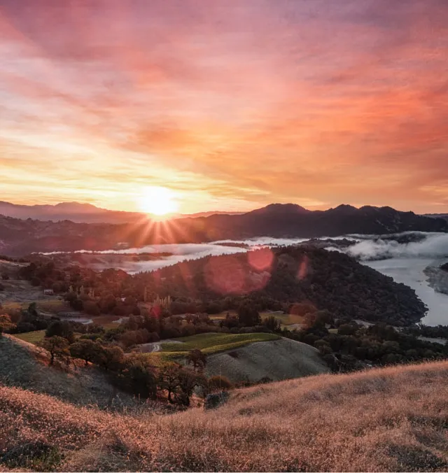Rodney Strong Vineyard Aerial