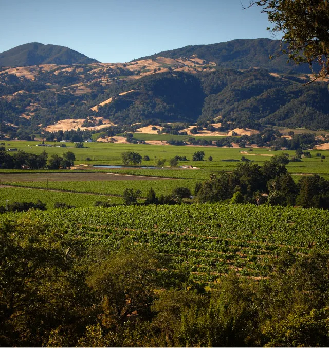 Rodney Strong Vineyard Aerial
