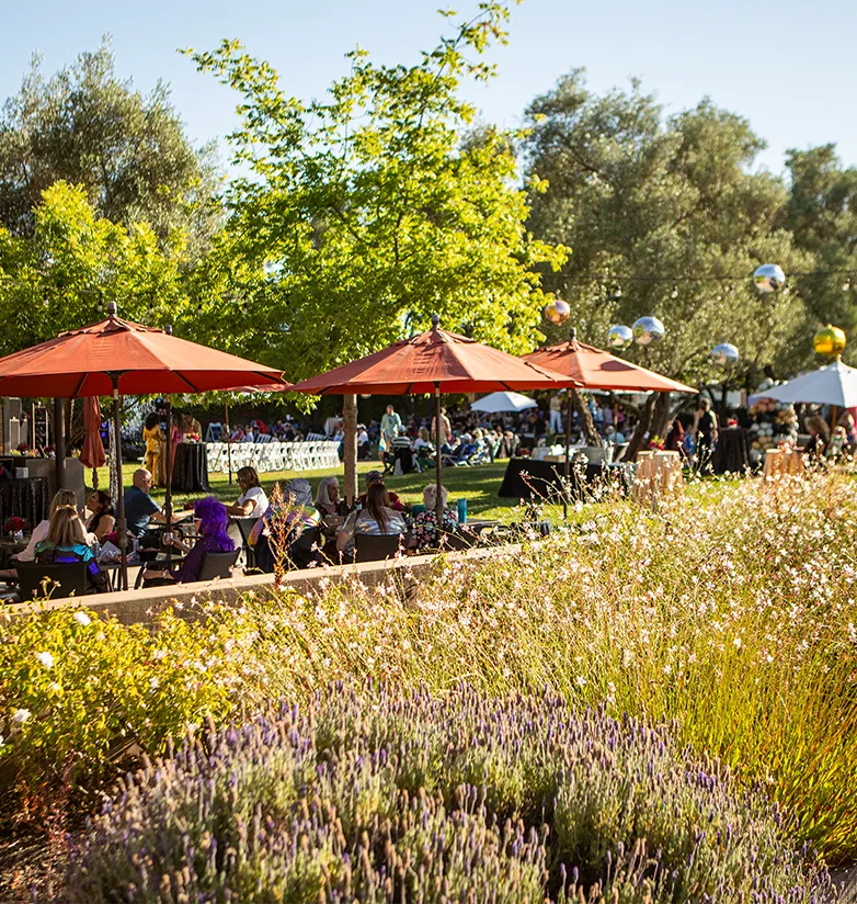 Event at The Terrace and Concert Green